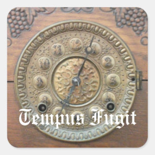 Tempus Fugit Antique Clock Face Stickers