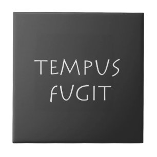 Tempus fugit ceramic tile
