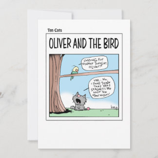 TEN CATS Cards - Oliver and the Bird