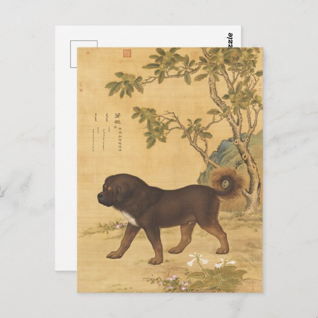Ten Fine Hounds - Cangni(A Tibetan Mountain Dog)  Postcard (Front/Back)