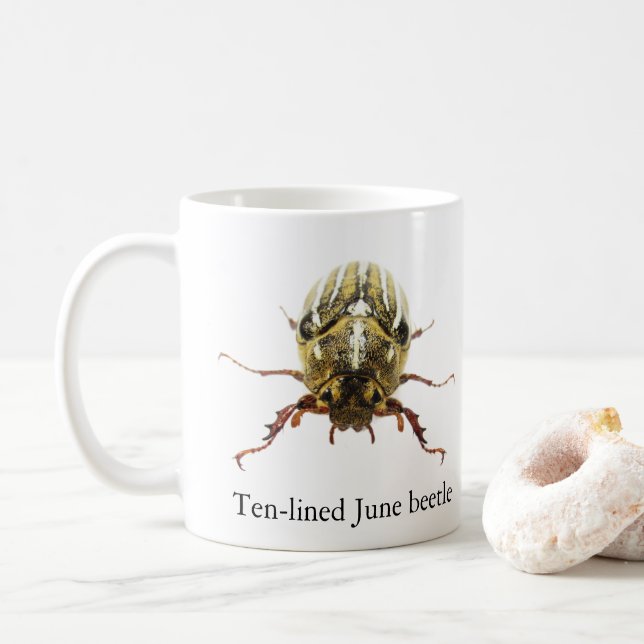 Ten-lined June Beetle Mug (With Donut)