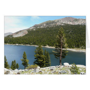 Tenaya Lake in Yosemite National Park