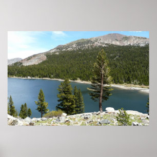 Tenaya Lake in Yosemite National Park Poster