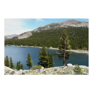 Tenaya Lake in Yosemite National Park Poster