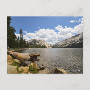 Tenaya Lake, Yosemite NP Postcard