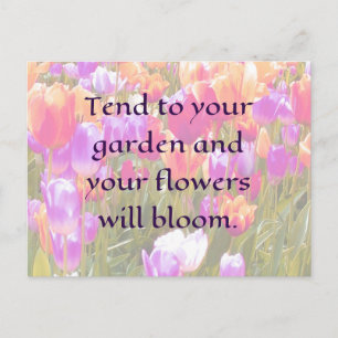 tend to your garden and your flowers will bloom postcard