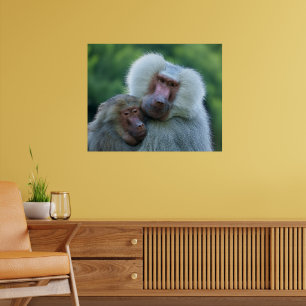 Tender Baboon Bond Poster