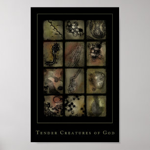 tender creatures of god poster