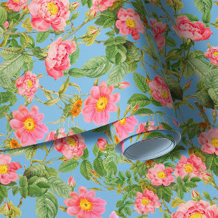 Tender garden roses on sky blue background wallpap wallpaper