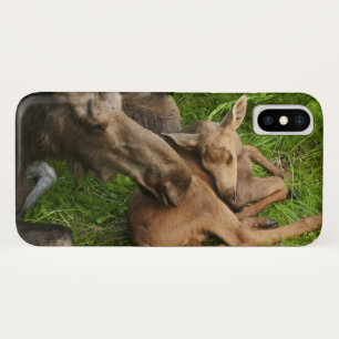 Tender Mother Moose iPhone X Case