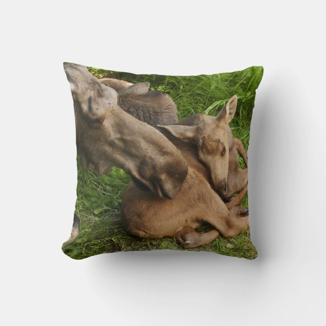 Tender Mother Moose Cushion (Front)