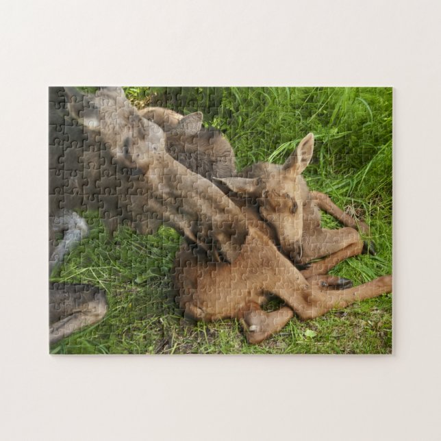 Tender Mother Moose Jigsaw Puzzle (Horizontal)