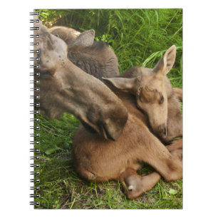 Tender Mother Moose Notebook