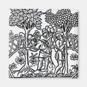 Tending Vines Magnet