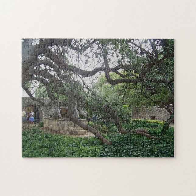 Tendril Tree at the Alamo, San Antonio, Texas Jigsaw Puzzle (Horizontal)