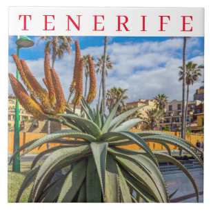 Tenerife Aloe Vera plant ceramic tile