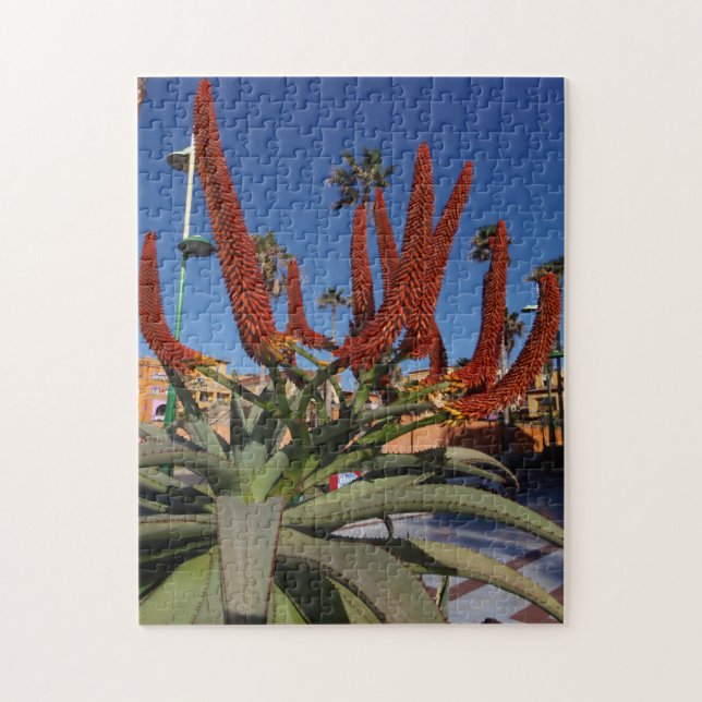 Tenerife Aloe Vera plant puzzle (Vertical)