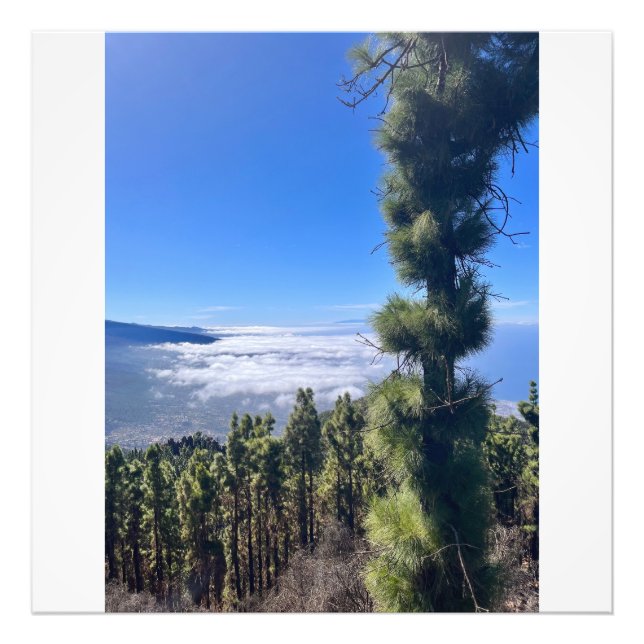 Tenerife bliss.. photo print (Front)