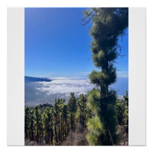 Tenerife bliss.. poster