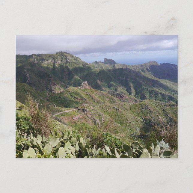 Tenerife, Canary Islands, Spain Postcard (Front)