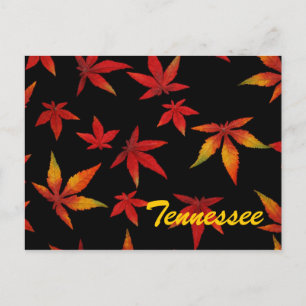 Tennessee Autumn Leaves Postcard
