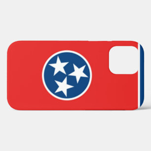 Tennessee iPhone 12 Pro Case