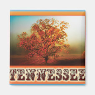 Tennessee Fall Tree Scene Magnet
