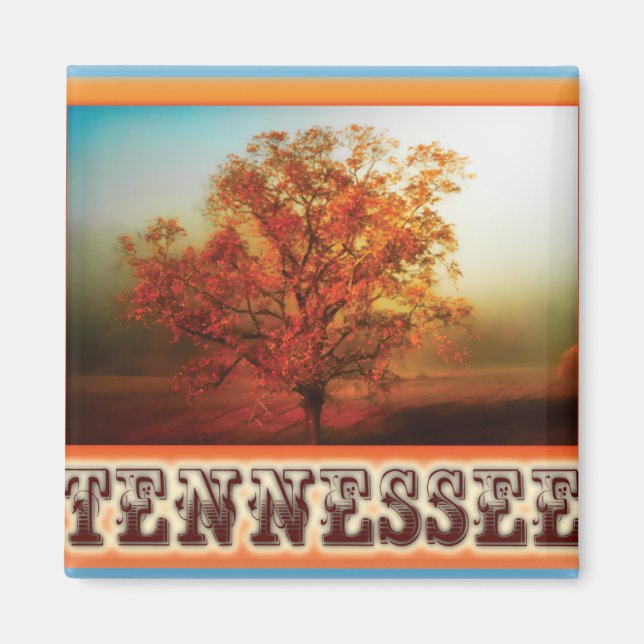 Tennessee Fall Tree Scene Magnet (Front)