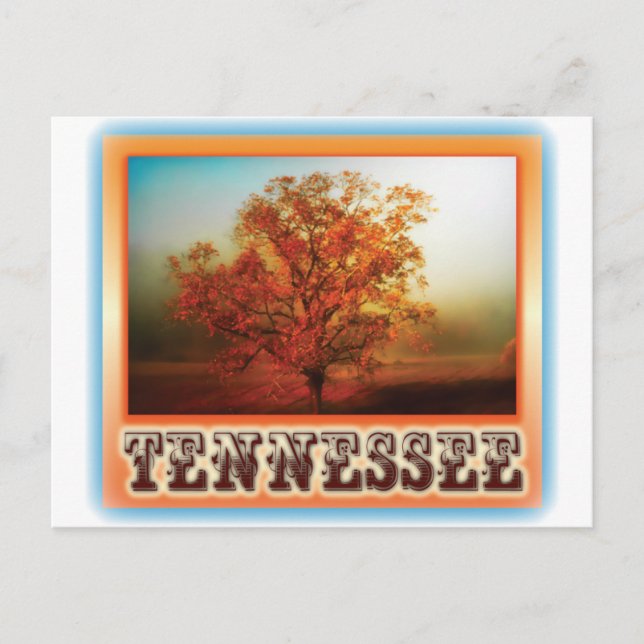 Tennessee Fall Tree Scene Postcard (Front)