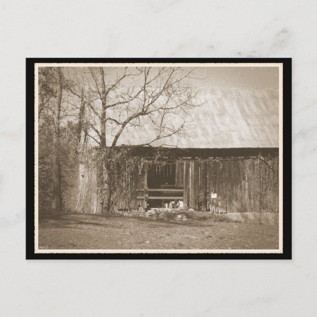Tennessee Farm Old Barn Postcard (Front)