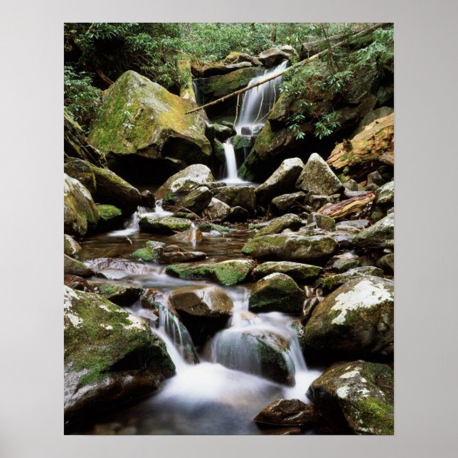 Tennessee, Great Smoky Mountains National Park 2 Poster (Front)