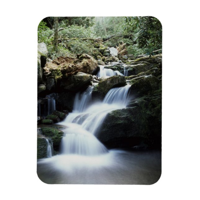 Tennessee, Great Smoky Mountains National Park 3 Magnet (Vertical)
