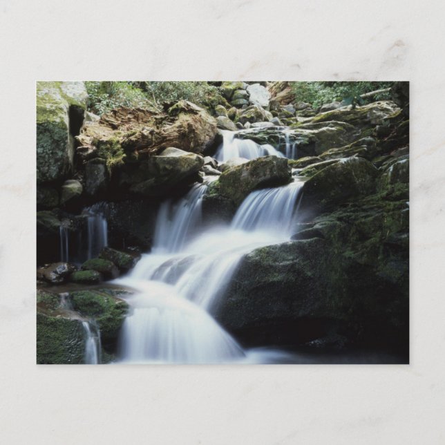 Tennessee, Great Smoky Mountains National Park 3 Postcard (Front)