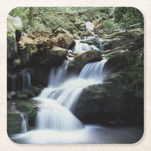 Tennessee, Great Smoky Mountains National Park 3 Square Paper Coaster