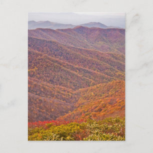 TENNESSEE POSTCARD