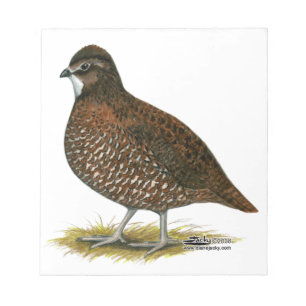 Tennessee Red Quail Notepad