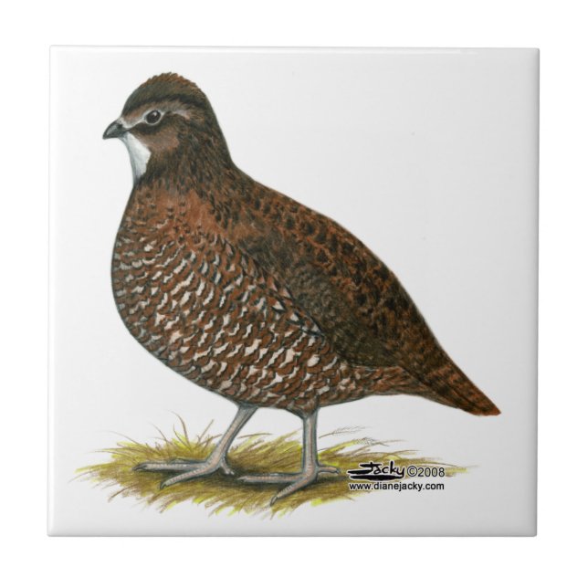 Tennessee Red Quail Tile (Front)