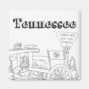 Tennessee State Symbols Volunteer State Images Magnet