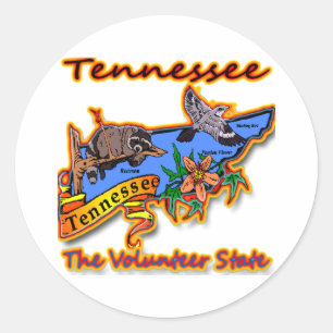 Tennessee The Volunteer State Racoon Flower Bird B Classic Round Sticker