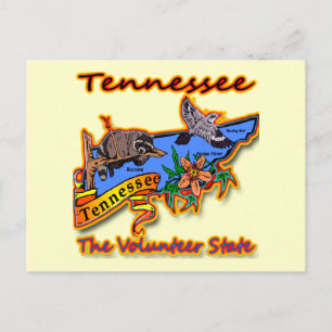 Tennessee The Volunteer State Racoon Flower Bird B Postcard