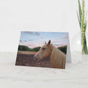 Tennessee Walking Horse Card