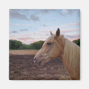 Tennessee Walking Horse Magnet