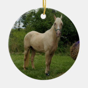 Tennessee Walking Horse ornament
