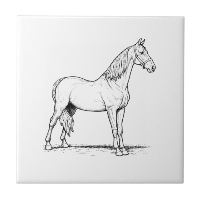 Tennessee Walking Horse - Standing Ceramic Tile (Front)