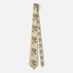 Tennessee Warbler, from Audubon's Birds of America Tie