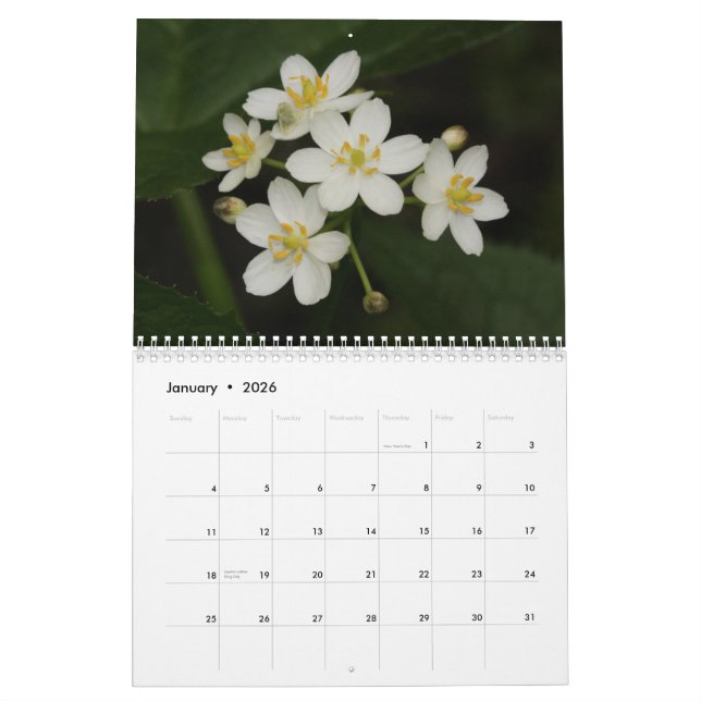 Tennessee Wildflowers 2013 Calendar (Jan 2026)