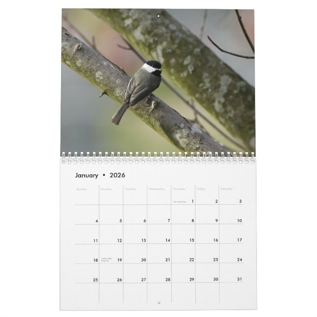 Tennessee Wildlife 2010 Calendar (Jan 2026)