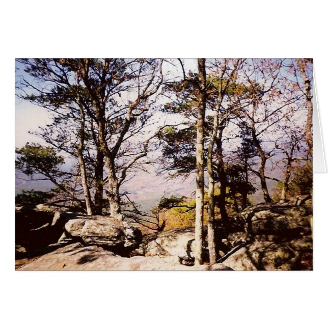 Tennessee Wilds (Front Horizontal)