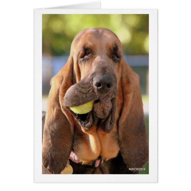 Tennis, anyone? (Front)