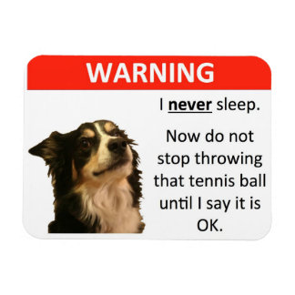 Tennis Ball Warning (Border Collie) Magnet